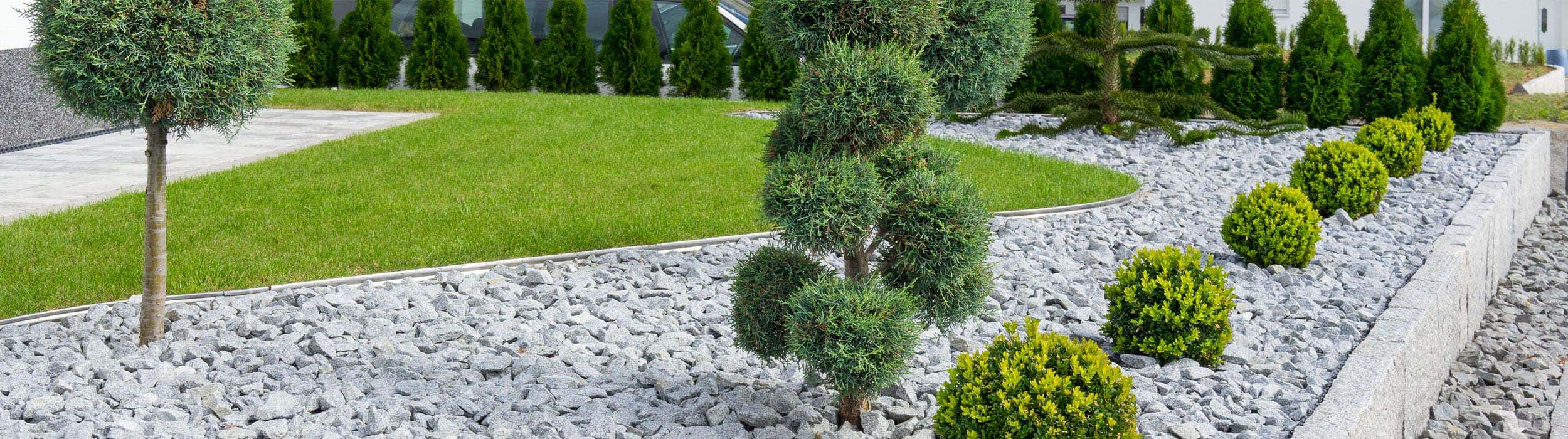 Gepflegter Garten mit Rasen, Kiesbeet und Formgehölzen