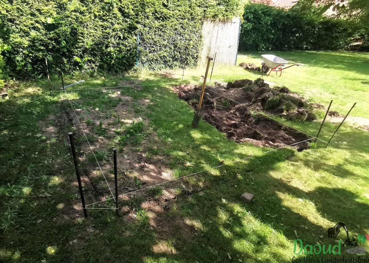Baumfällung: Aushub des Wurzelstocks im Rasen